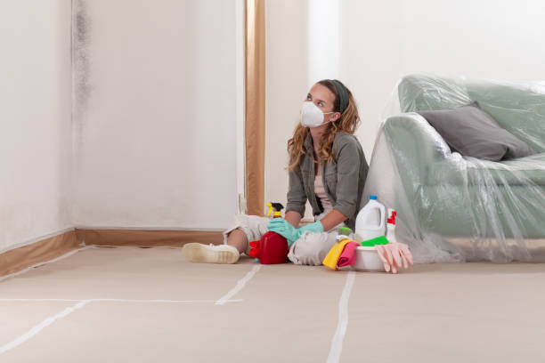 Reliable Mold Remediation contractor in New Jersey, NJ by 24 Hour Mold Removal